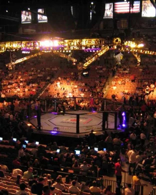 UFC 330: Makhachev vs. Machado Garry