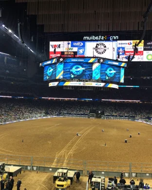 Xtreme Bulls