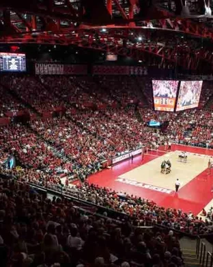Memphis Tigers Volleyball vs. Temple Owls