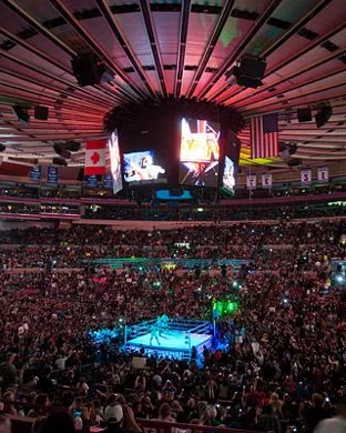 All Elite Wrestling: Collision
